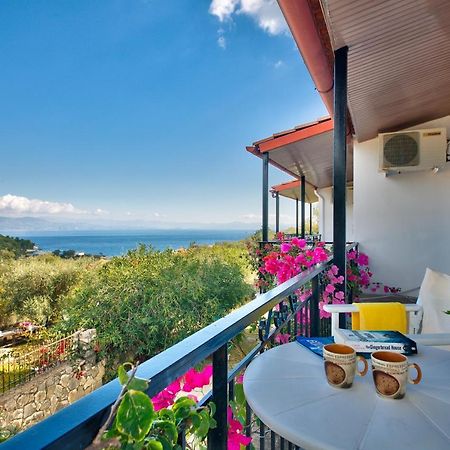 Theodora Apartments - Paxos Gaios Buitenkant foto