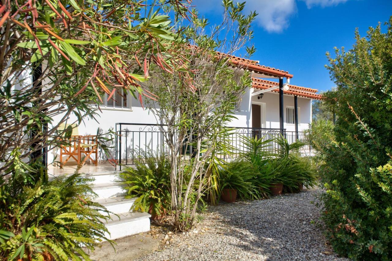Theodora Apartments - Paxos Gaios Buitenkant foto